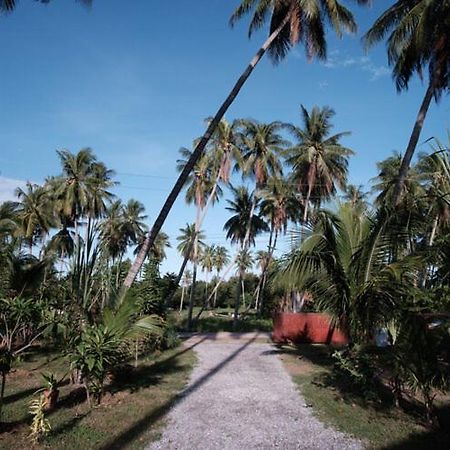 Coconut Tree Homestay Ban Wa Thon Екстериор снимка