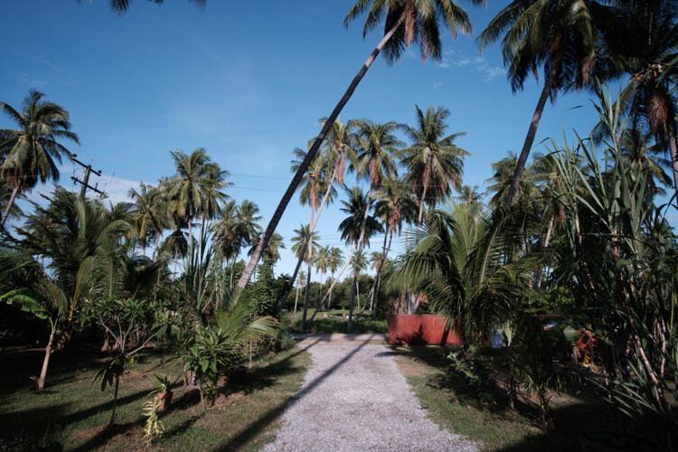 Coconut Tree Homestay Ban Wa Thon Екстериор снимка